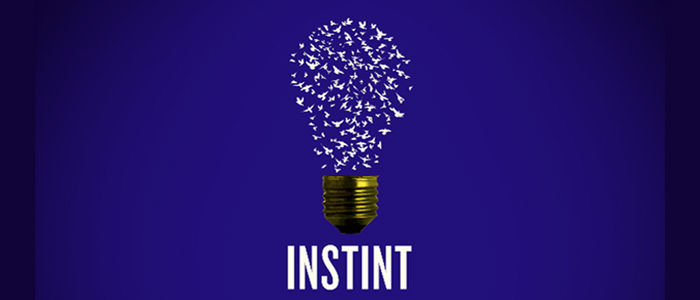 CITAS CON ´INSTINT´