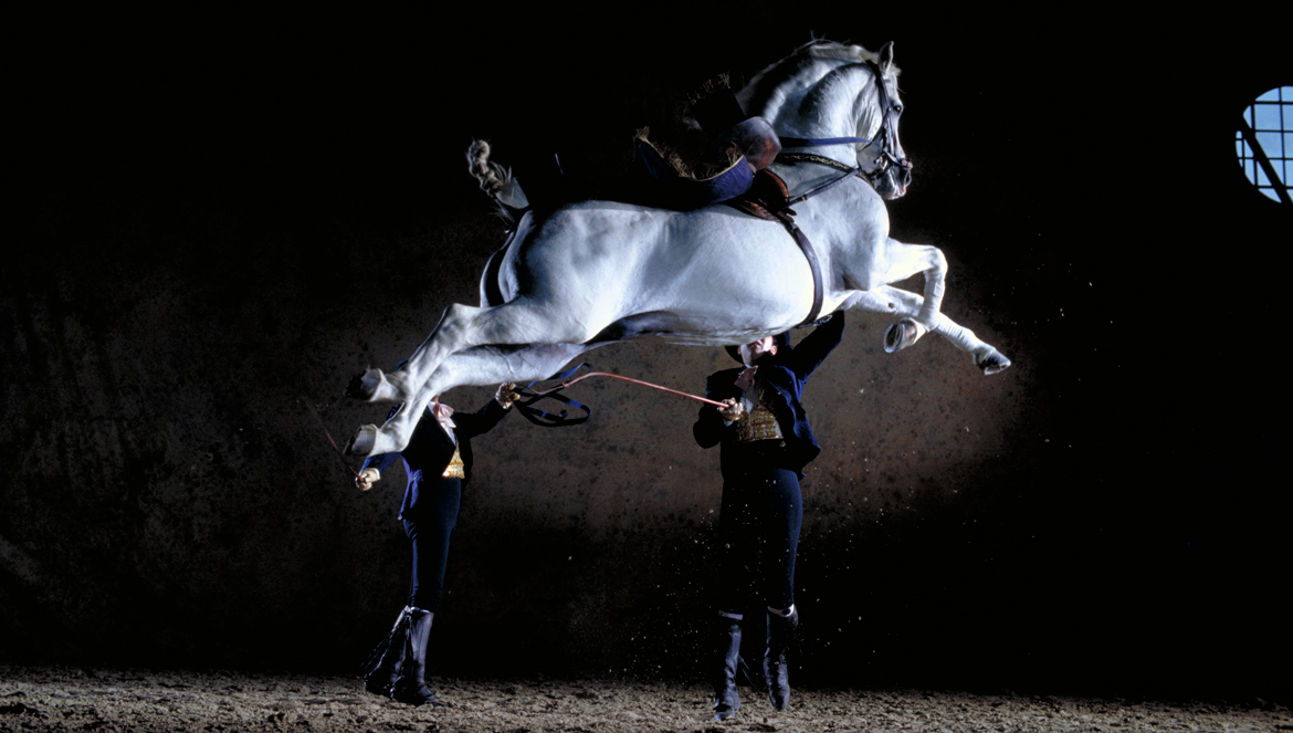 CÓMO BAILAN LOS CABALLOS ANDALUCES