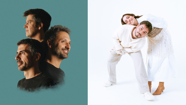 ELS AMICS DE LES ARTS + GINESTÀ