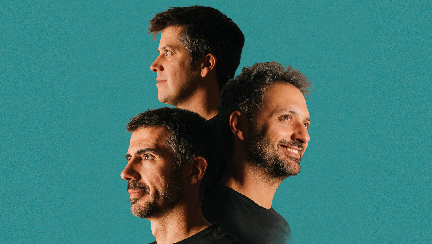 ELS AMICS DE LES ARTS