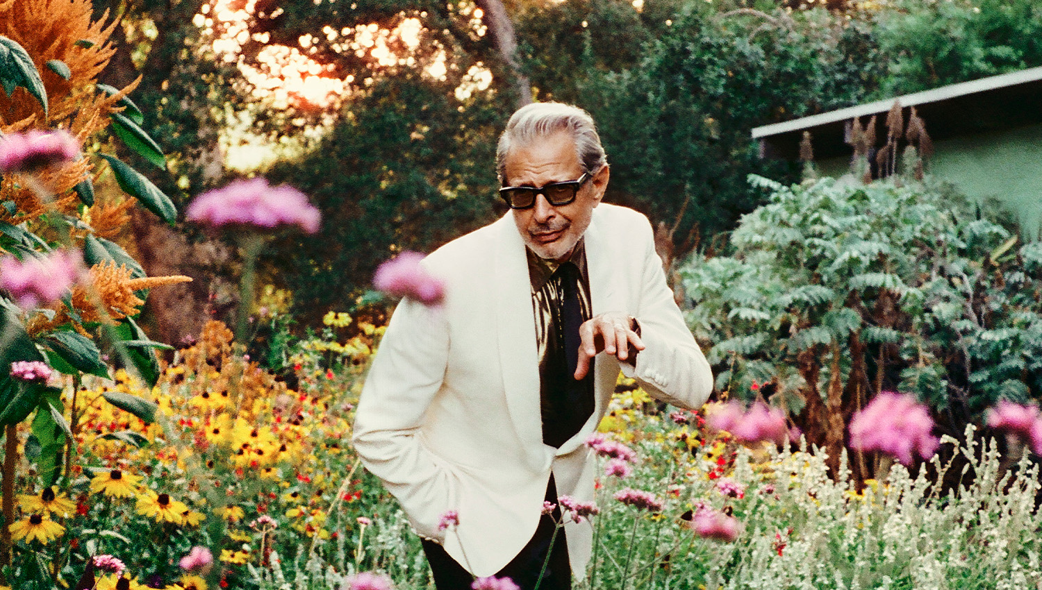 JEFF GOLDBLUM & THE MILDRED SNITZER ORCHESTRA