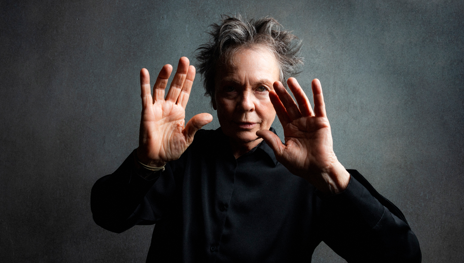 LAURIE ANDERSON