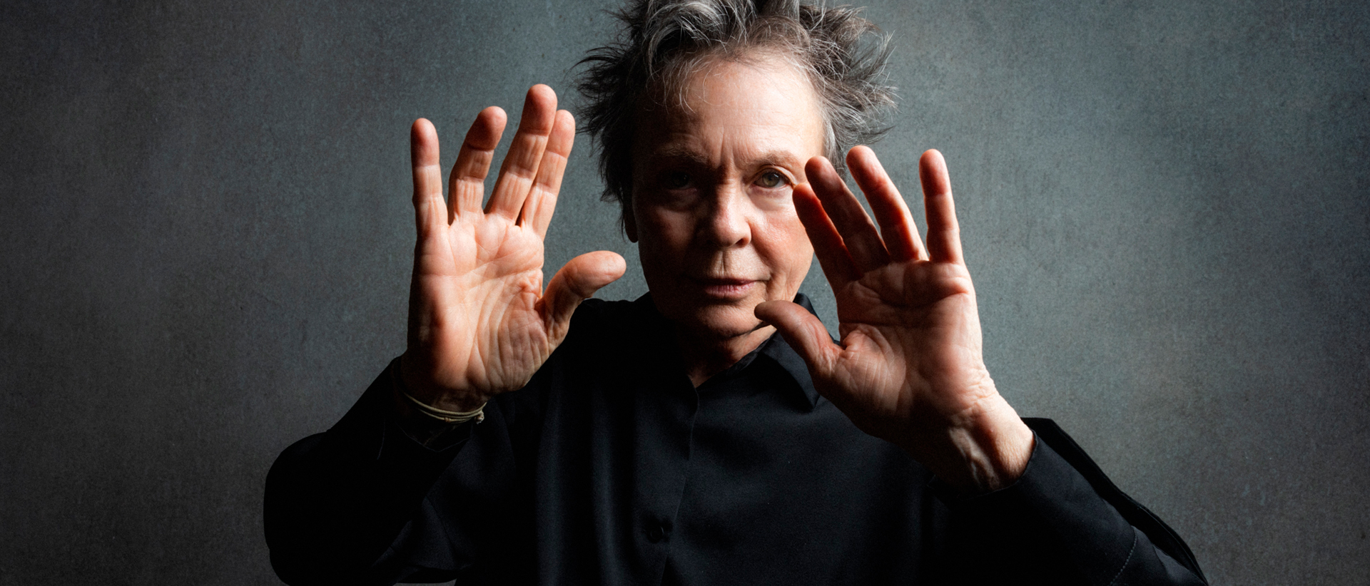 LAURIE ANDERSON